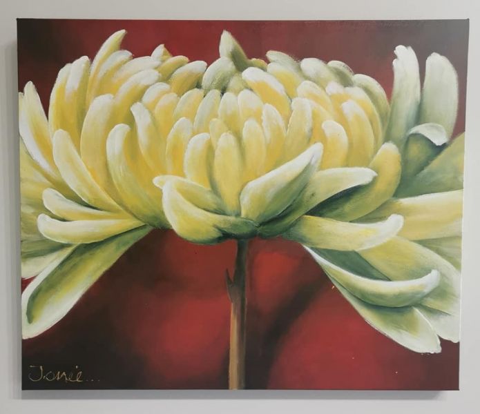 Golden Chrysanthemum