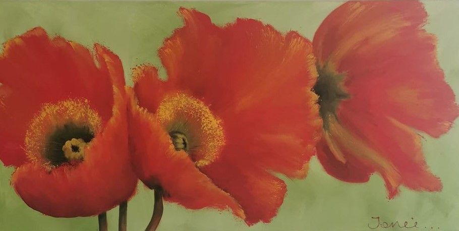 Trio of Orange Poppies